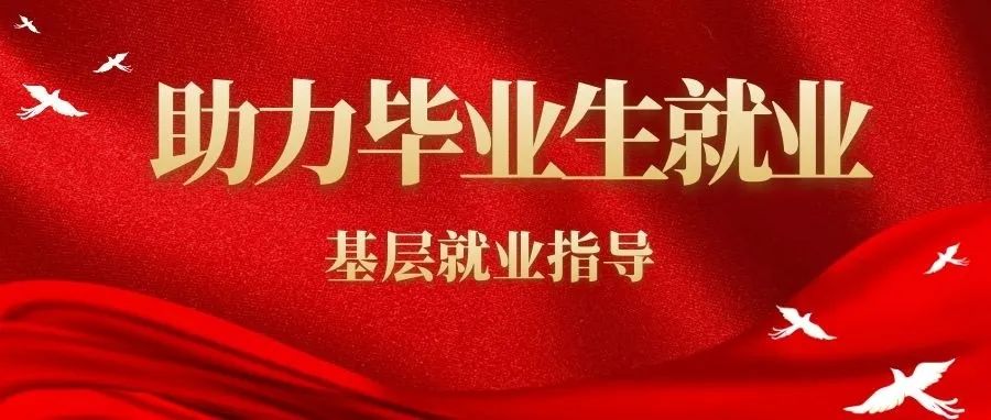 助力就業(yè)｜團委組織開展畢業(yè)生基層就業(yè)指導系列講座