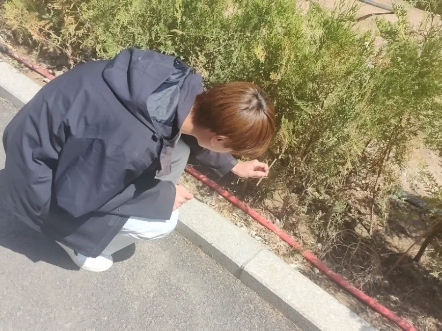 微信圖片_20250515201814.jpg