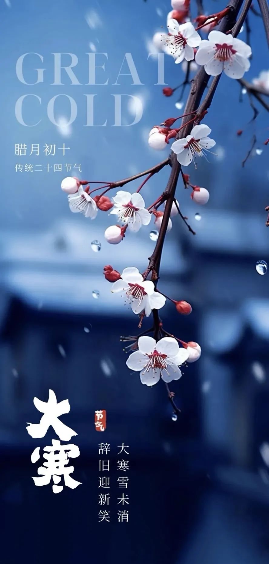 微信圖片_20250515210201.jpg