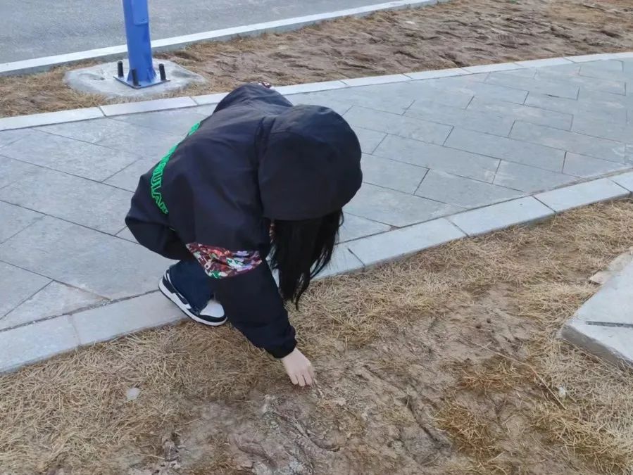 微信圖片_20250515211007.jpg